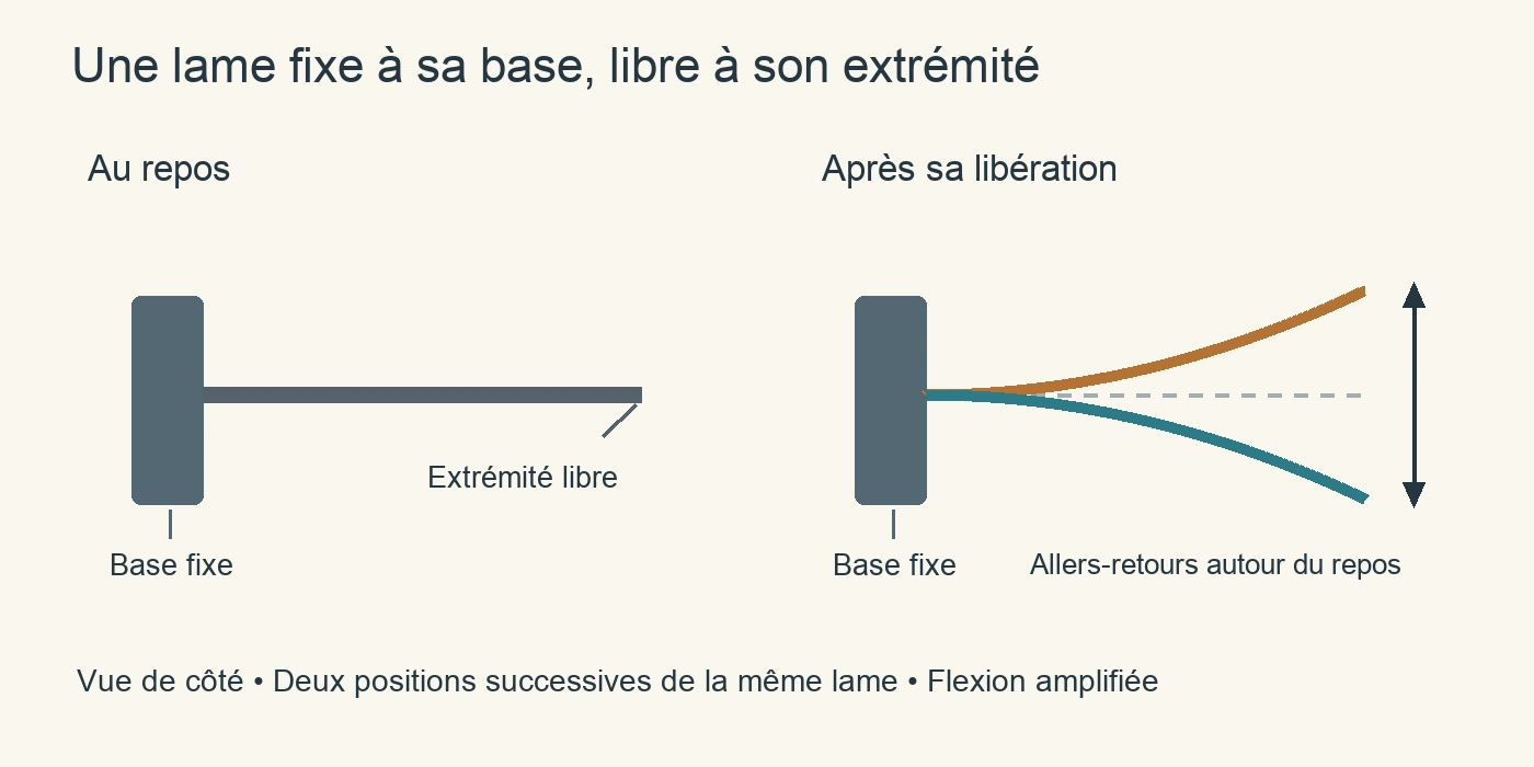 Une lame fixée à gauche, au repos puis représentée dans deux positions de flexion autour de son axe.
